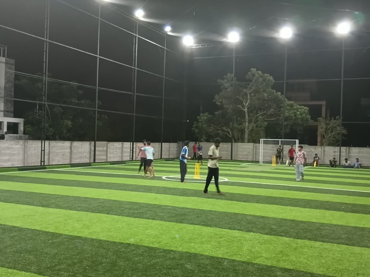 Turf Action