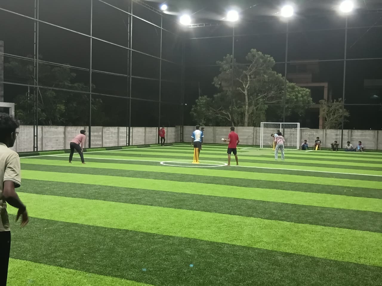Turf Action